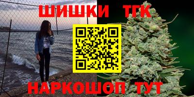 МДПВ Гатчина