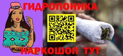 спайс Гагарин