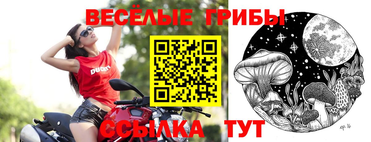 Псилоцибиновые грибы Psilocybe  Вход с VPN  Изобильный 